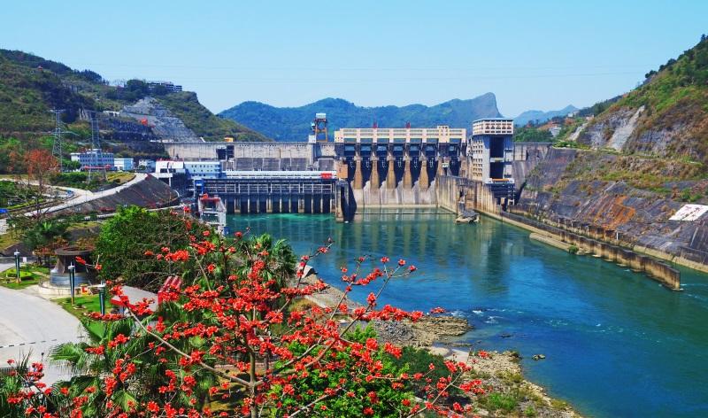 1607167226263470.jpg 2.jpg